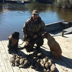 Meet your Posher, Dakota